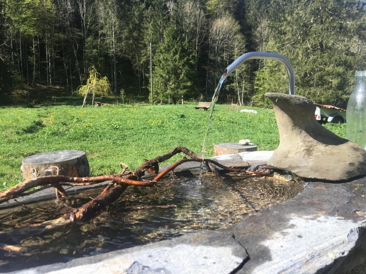 Riversong Centre Thermal Les Plans-sur-Bex Bagian luar foto